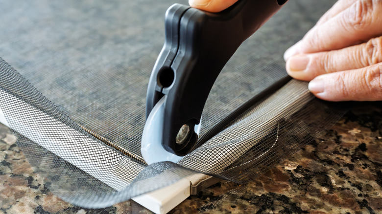 Pencere teli yuvarlama aracını kullanan kişi