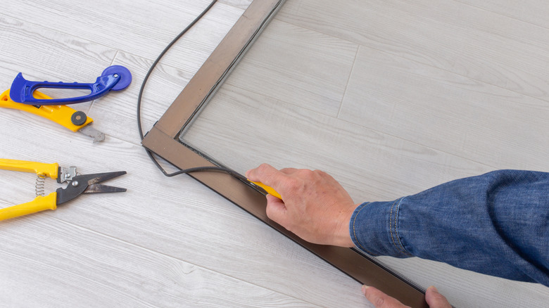 Pencere ekranında spline'ı değiştiren kişi