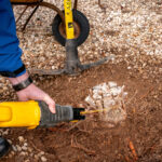 Bahçesinden Bir Ağaç Kütüğünü Çıkardıktan Sonra Herkesin Yaptığı Büyük Hata