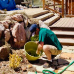 Sirke veya Çamaşır Suyu Değil: Saksıları Sterilize Eden Zaten Sahip Olduğunuz Alternatif