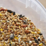 Pahalı Kuş Tohumu Depolamaya Elveda Deyin ve Zaten Sahip Olduğunuz Uygun Fiyatlı Çözümle Tanışın