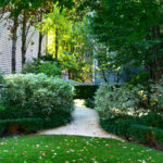 Gölgeli Bahçenize Ait Büyüleyici Yeşilliklere Sahip Çok Yıllık Bitki