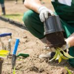 Bu Basit Geri Dönüşüm İpucuyla Plastik Saksıları Çöpten Uzak Tutun