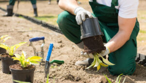 Bu Basit Geri Dönüşüm İpucuyla Plastik Saksıları Çöpten Uzak Tutun
