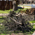 Büyük Bir Fırtına Sonrası Bahçedeki Enkaz Nasıl Düzgün Bir Şekilde Bertaraf Edilir?