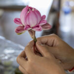 Bütçenize Uygun Bir Şekilde Yapabileceğiniz Çarpıcı Bir Lotus Işığıyla Evinize Peri Havası Verin