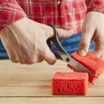 Küçük Bir Sünger Etli Bitkilerin Gelişmesi İçin İyi Bir Hack midir? İşte Karmaşık Gerçek