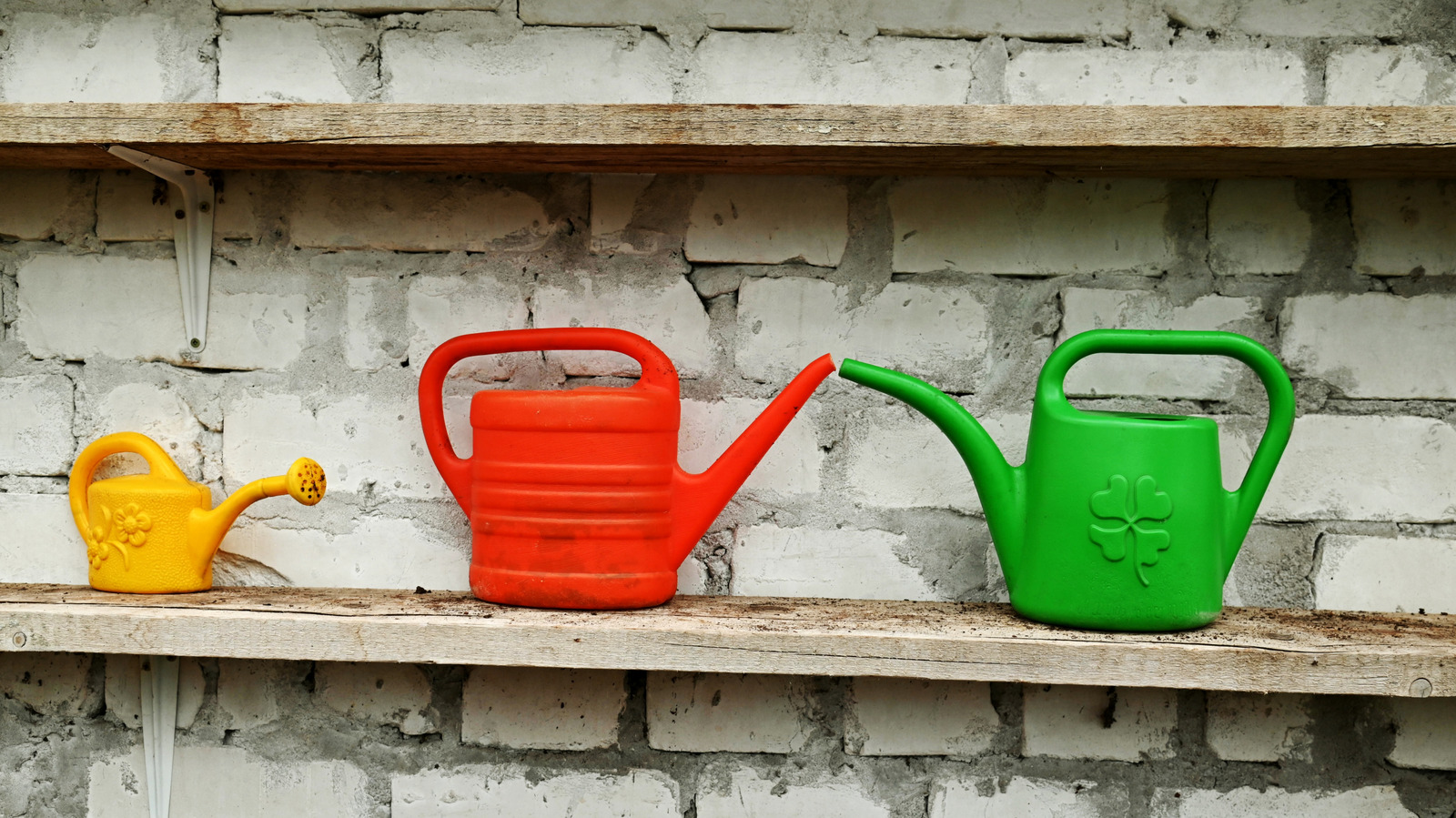 İkinci El Mağazasında Dikkat Edilmesi Gereken Sevimli Sulama Kabı Türü