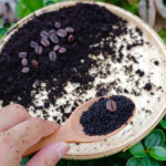 Kahve Telveleriyle Büyüyen ve Daha İyi Büyüyen 8 Çok Yıllık Bitki