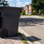 Kokmuş Çöp Kutusu Sorunlarınızı Eski Yumurta Kartonlarıyla Çözün