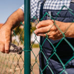 Çitlere ve Kafeslere Gizlilik Katacak Çok Yıllık Ağaçsı Asma