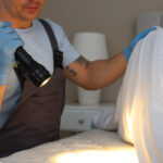 Zaten Evinizde Bulunan Kolay Tahtakuru Caydırıcı (Ve Nasıl Kullanılır)