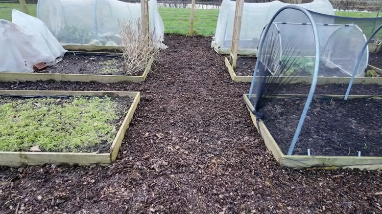 Bahçe yataklarından geçen malç yolları