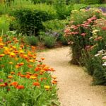 Kendiniz Yapabileceğiniz Çevre Dostu Bir Bahçe Yoluyla Betona Elveda Deyin