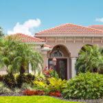 Çitleri Unutun: Çarpıcı Gizlilik İçin Tropikal, Hızlı Büyüyen Çok Yıllık Bir Bitki Dikin