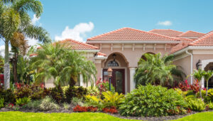 Çitleri Unutun: Çarpıcı Gizlilik İçin Tropikal, Hızlı Büyüyen Çok Yıllık Bir Bitki Dikin