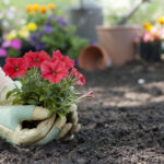 Hedeften Güzel Bir Şekilde Çiçek Asabilen ve Gösterebilen Dilek Kuyusu Ekici