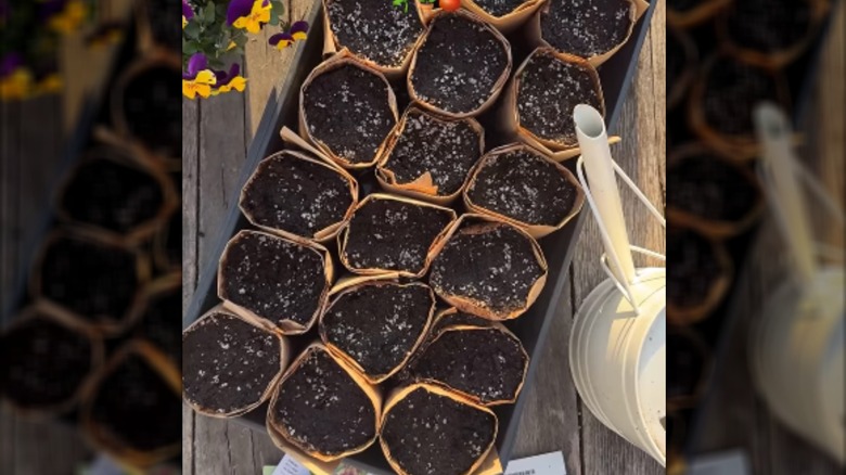 kağıt artıklarından yapılmış başlangıç ​​kapları