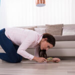 Zeminde Küçük Böcek Kanatları Bulursanız Ne Yapmalısınız?