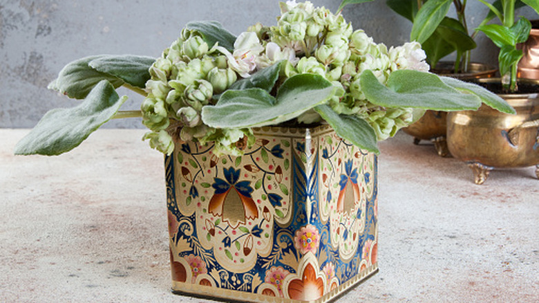 Ekici olarak kullanılan eski tenekenin yakın çekimi