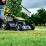 Biçme Sırasında Yaptığınız Büyük Hata Ağaçlarınızı Öldürebilir