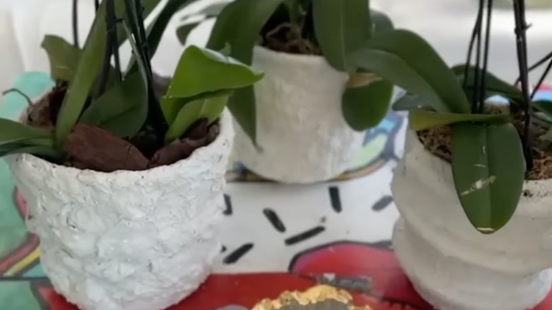 Renkli bir masada üç el yapımı beyaz tencere.