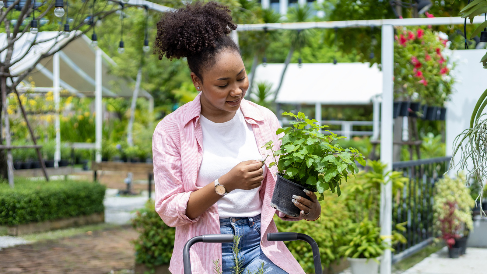 Sıkıcı Bir Fidanlık Saksısını Gazete Kullanarak Şık Bir Saksıya Dönüştürün