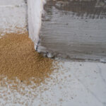 Duvarınız Boyunca Talaş Yığını Bulursanız Ne Yapmalısınız?