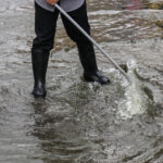 Elveda Su Basmış Araba Yolları: Bu Yeraltı Sistemi Güzel Görünüyor ve Drenajı İyileştiriyor