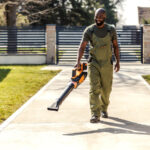 Taş Değil, Tuğla Değil: Bütçe Dostu Araba Yolu Kenar Fikri