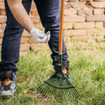Bahçenizde Chiggers Olduğunu Düşünüyorsanız Ne Yapmalısınız?