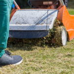 Tüm Sezon Boyunca Sağlıklı Çimler İçin Mayıs Ayında Başlayan Önemli Çim Bakımı Adımı