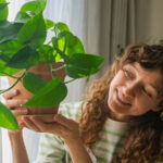 Pothos Bitkisini Büyük Bir İfade Parçasına Dönüştürmek İçin Domates Kafesi Nasıl Kullanılır