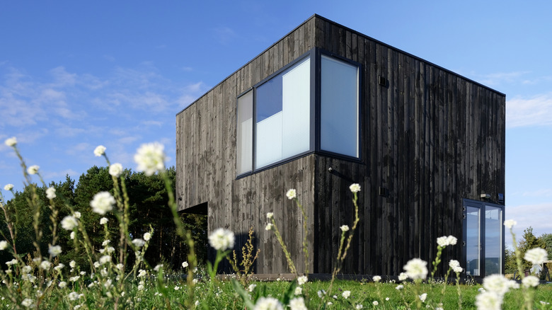 Shou sugi ban siyah kerestesinden yapılmış modern kare ev