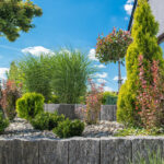 Erken Çiçekler İçin Bu Az Bakım Gerektiren, Tozlayıcıyı Çeken Çalıyı Ekin