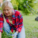 Bahçenizde Atlamanızı Önerdiğimiz İstilacı Çok Yıllık Bitki