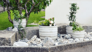 Ev Sahibi, Kaldırımın Çekiciliğini Artırmak İçin Beton Saksıları Kullanarak Büyük Bir Hata Yapıyor