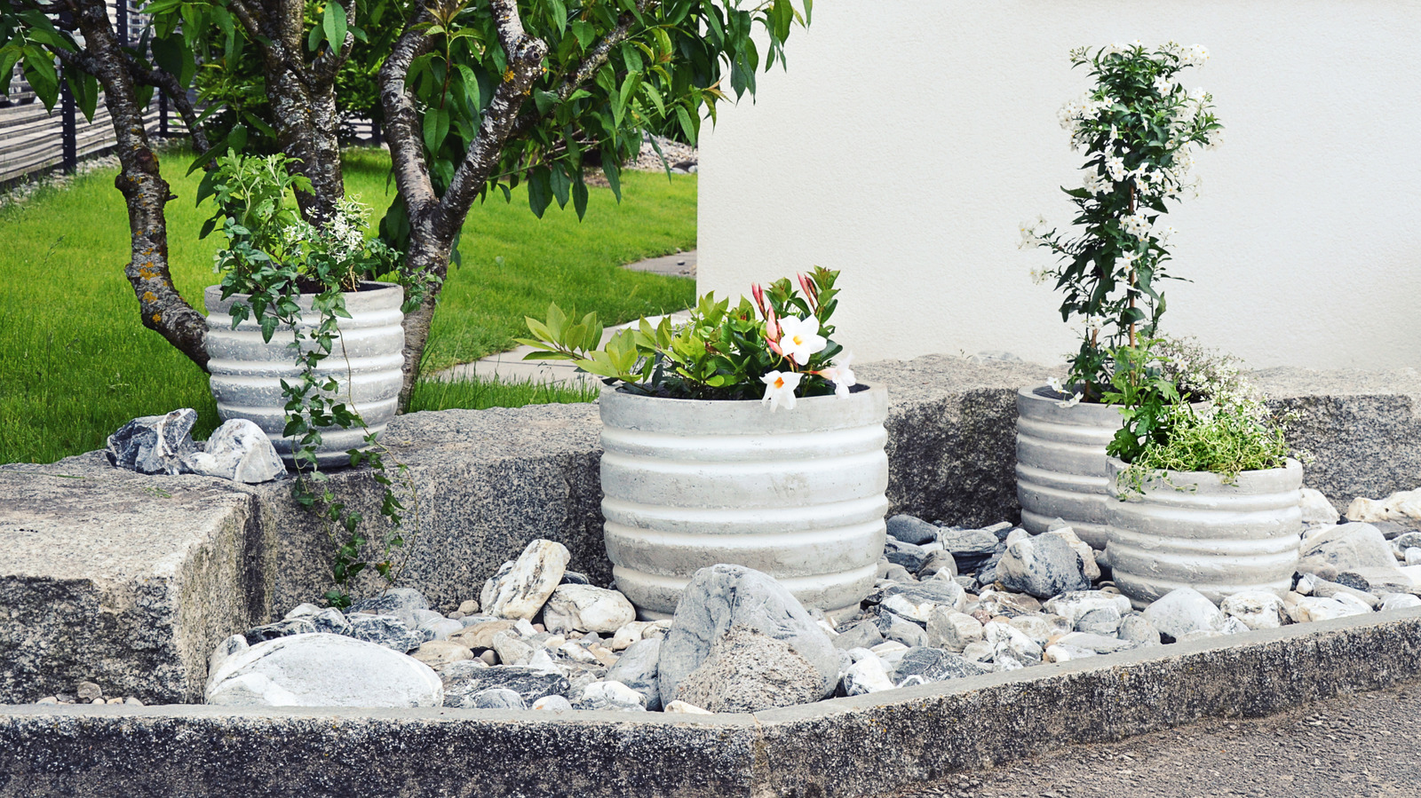 Ev Sahibi, Kaldırımın Çekiciliğini Artırmak İçin Beton Saksıları Kullanarak Büyük Bir Hata Yapıyor