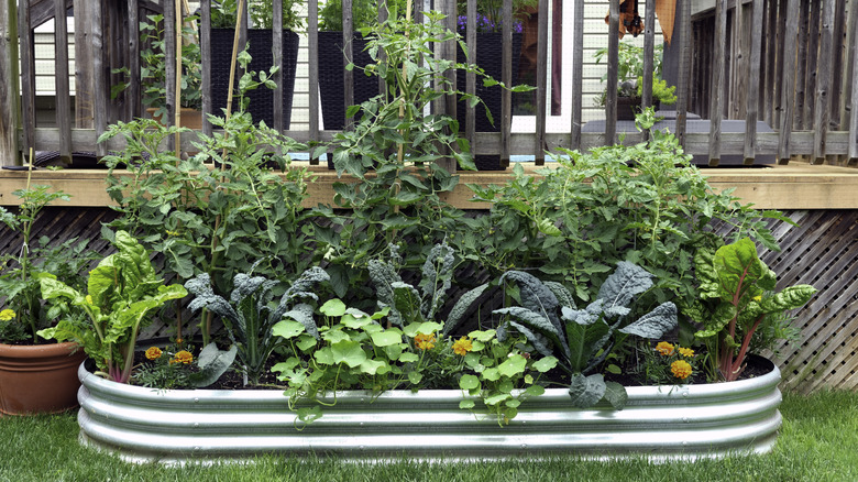 https://www.housedigest.com/1942752/best-soil-for-container-gardening-plants/