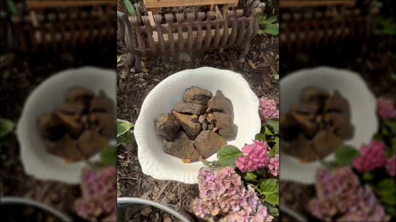 Vintage beyaz kaseli DIY kuş banyosunun ekran görüntüsü