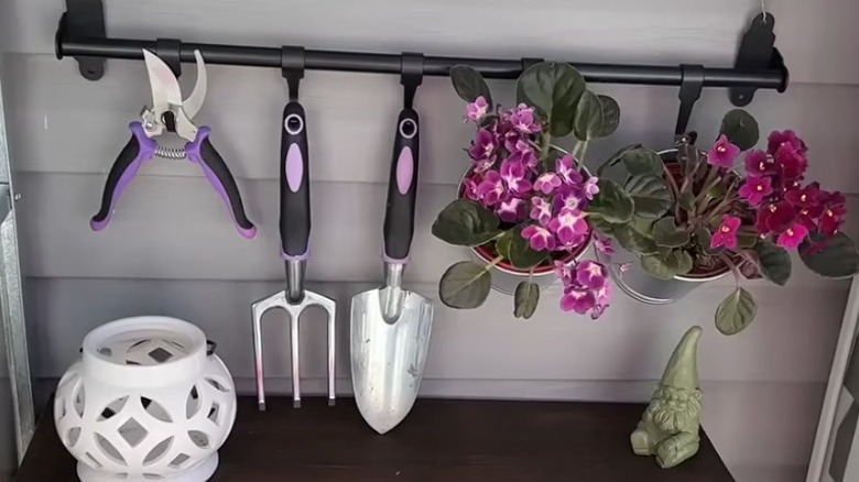 Bahçe aletleriyle birlikte bir IKEA HULTARP rayı ve üzerinde birkaç küçük saksı çiçekli bitki asılı.
