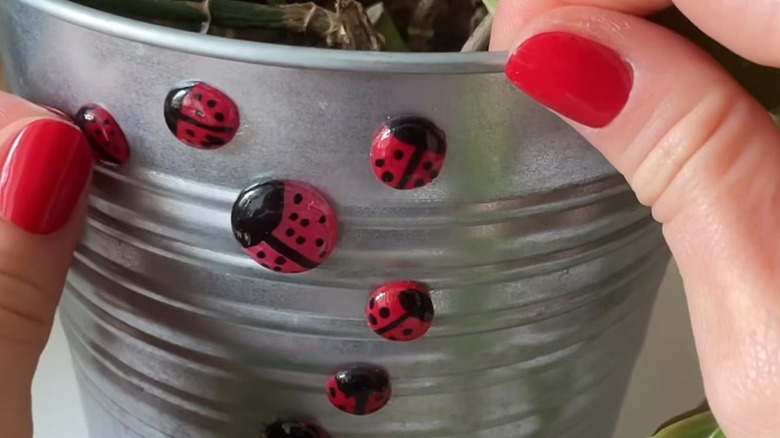 Metal bir ekici kovaya yapıştırılmış mini uğur böcekleri