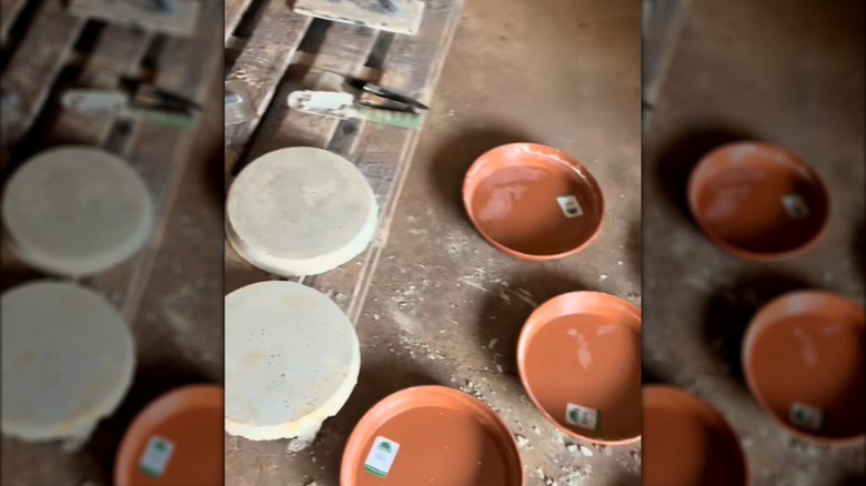 Bitki tabakları kullanılarak yapılan DIY yuvarlak kaldırım taşları