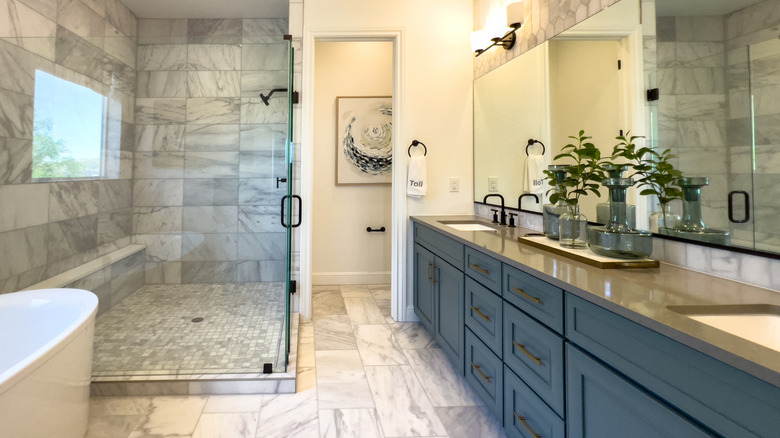 Cam bir kabinin arkasında büyük bağımsız duşu olan bir banyo, büyük bir küvetin kenarı ve altında mavi dolaplı bir lavabo.