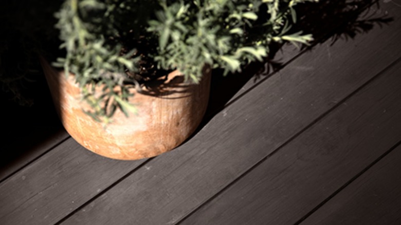 Behr's Premium Stain & Seal ile işlenmiş bir güverte
