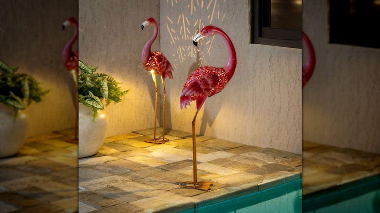 Havuz kenarında Solar LED Flamingolar
