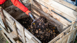 Tuvalet Kağıdı Tüpleri Değil: Kompostunuza Eklenecek Daha Doğal Banyo Malzemesi