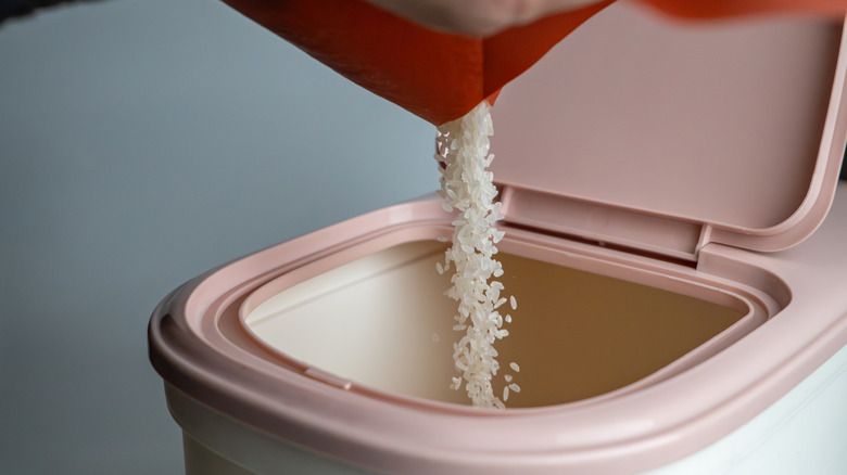 Beyaz pirinç tanelerini pembe kapaklı plastik bir kutuya döküyorum.
