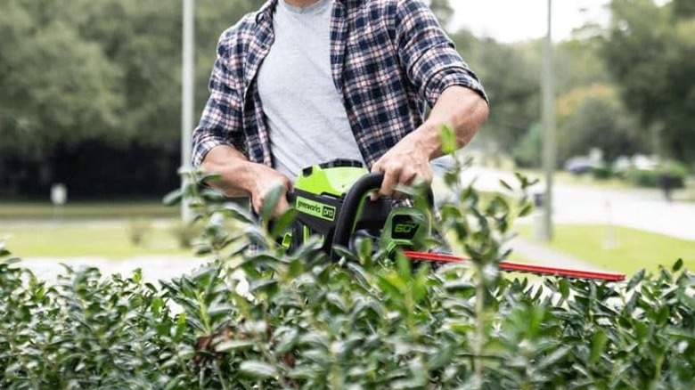 Greenworks Pille Çalışan Çit Budama makinesiyle çit budayan bir kişi