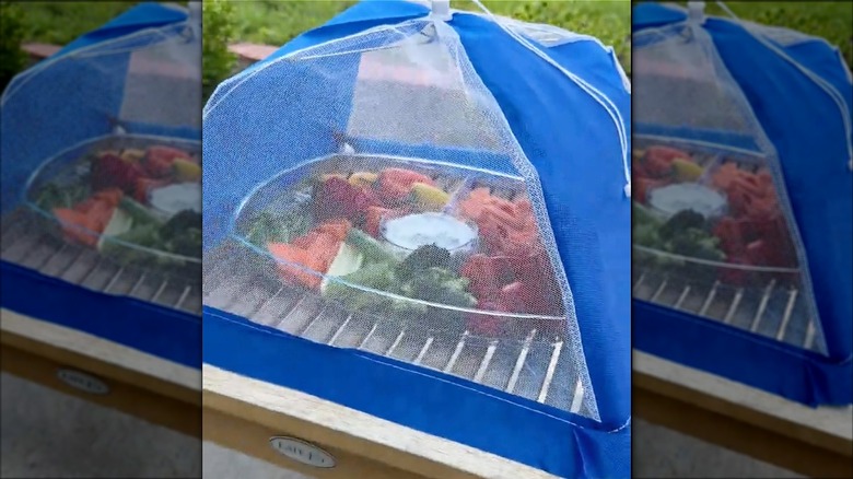 Bahçedeki bir masanın üzerinde mavi bir yemek çadırıyla kaplı sebze tepsisi.